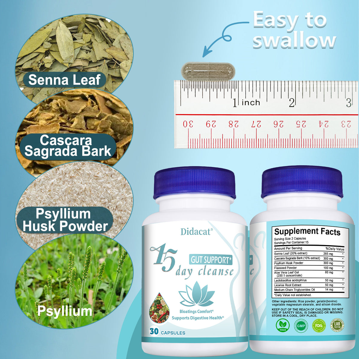 Advanced Gut Health Support Capsules – Daily Digestive Wellness Formula for a Happier Gut